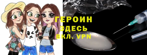 прущие грибы Дмитриев