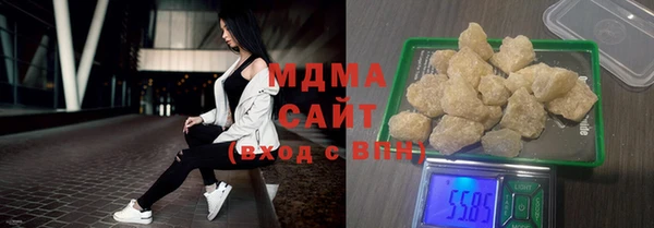 прущие грибы Елабуга