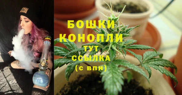дживик Заволжск