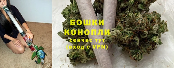 прущие грибы Дмитриев