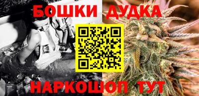 гидра Гусев