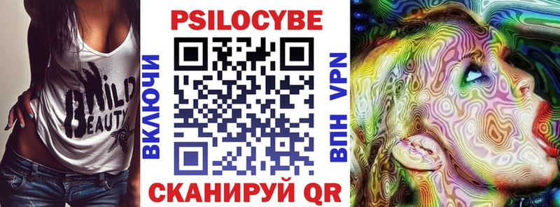 купить   Лабинск  Псилоцибиновые грибы Cubensis 