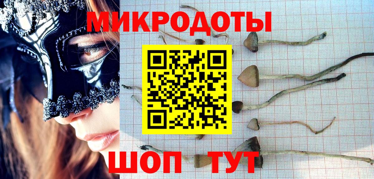 Галлюциногенные грибы прущие грибы Лабинск