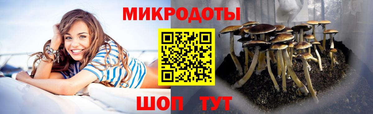 Лабинск  Галлюциногенные грибы мицелий  Псилоцибиновые грибы GOLDEN TEACHER  Вход с VPN 